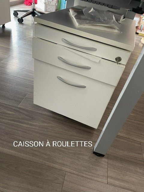CAISSON À ROULETTES BLANC 50*42*60